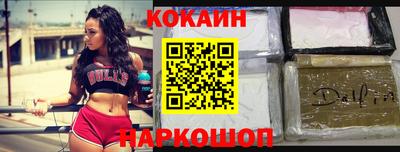 гашик Бийск