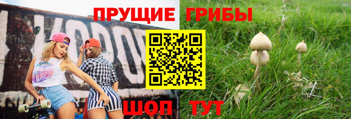 Псилоцибиновые грибы MAGIC MUSHROOMS  Старая Купавна  Галлюциногенные грибы MAGIC MUSHROOMS 