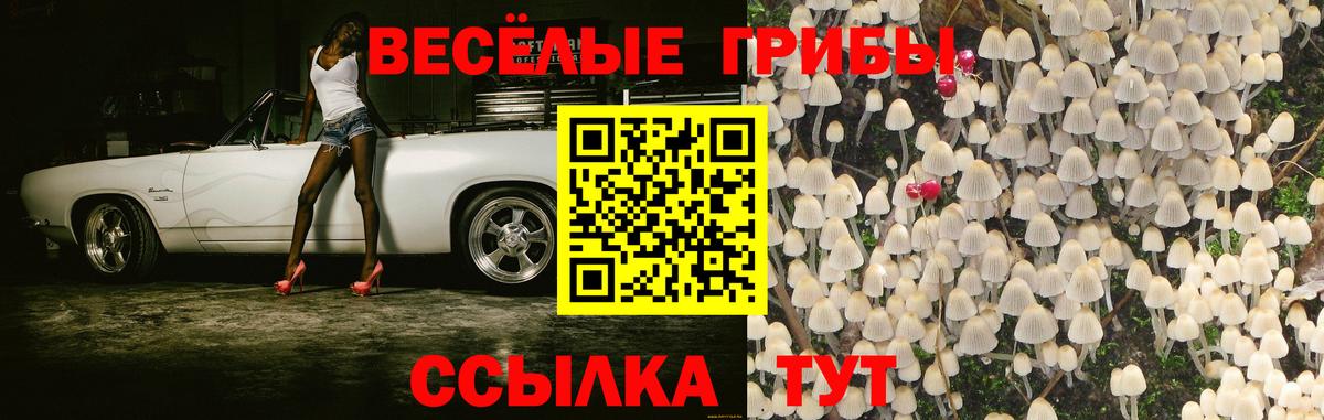 Галлюциногенные грибы Psilocybe Старая Купавна