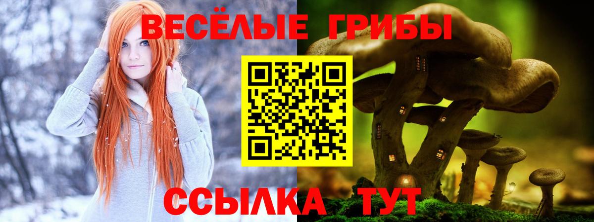 Старая Купавна  купить наркотики сайты  Вход с VPN  Псилоцибиновые грибы мухоморы 